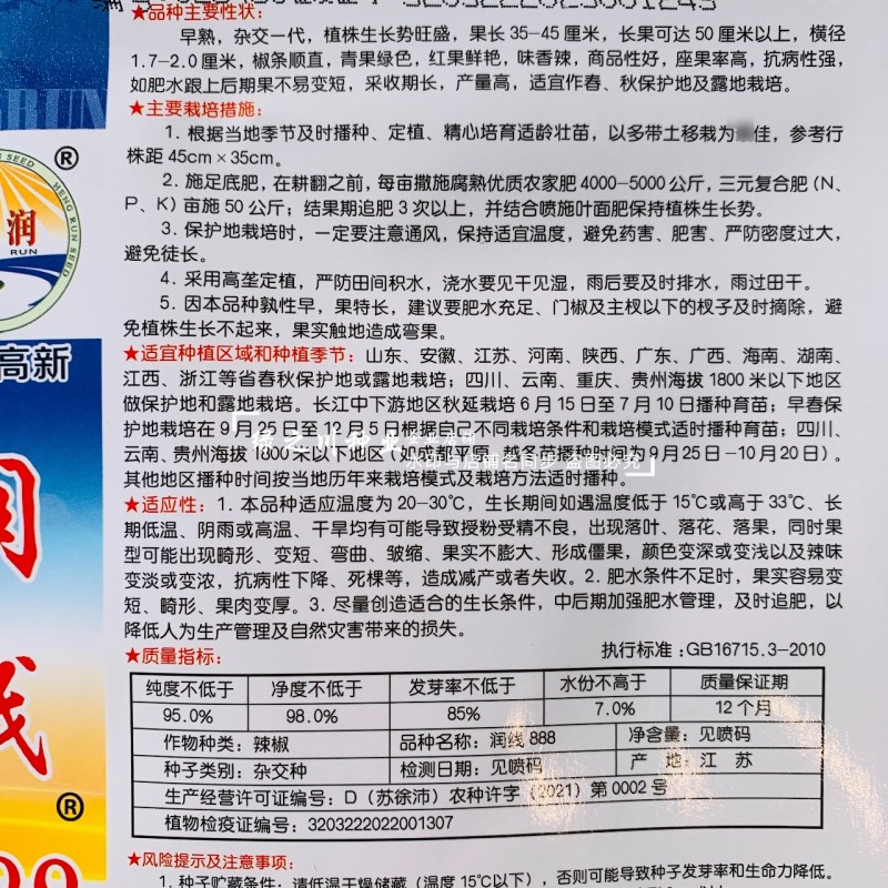 润线888香辣线椒种子抗病高产采收期长特长线椒种子