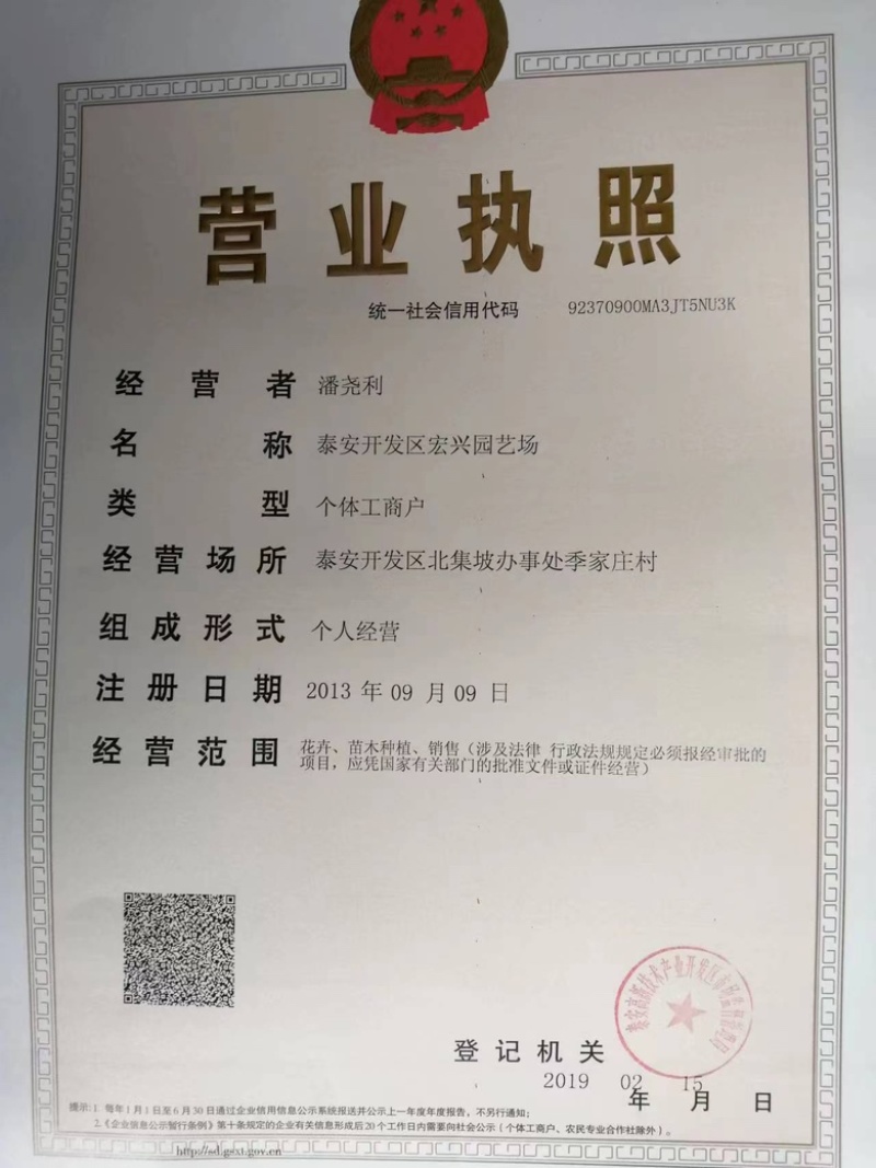 【精选】红肉桃树苗血桃树苗中华血桃树苗规格一公分