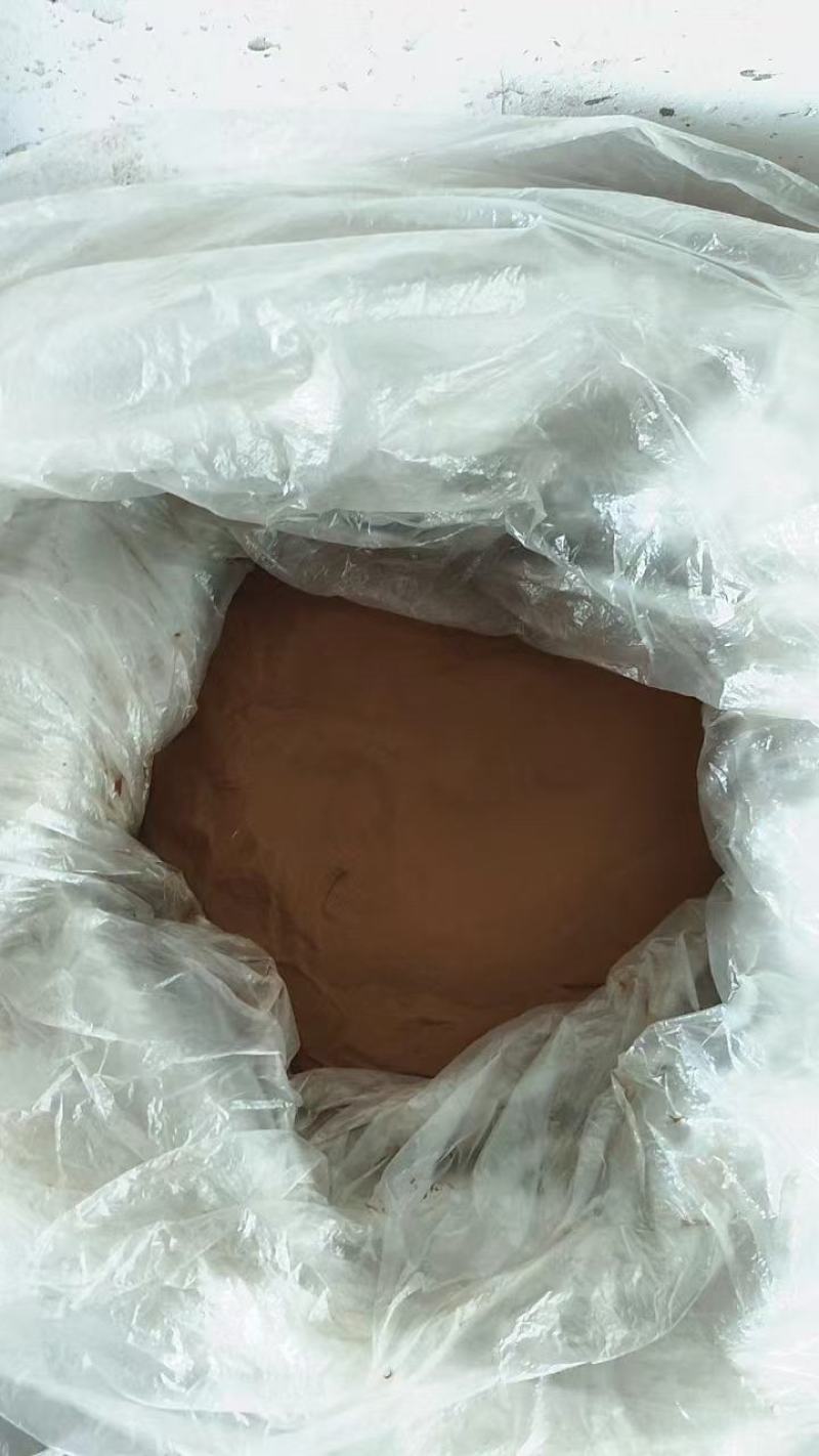 江西精品海金沙，产地一手货源，无石无杂，量大从优欢迎来电