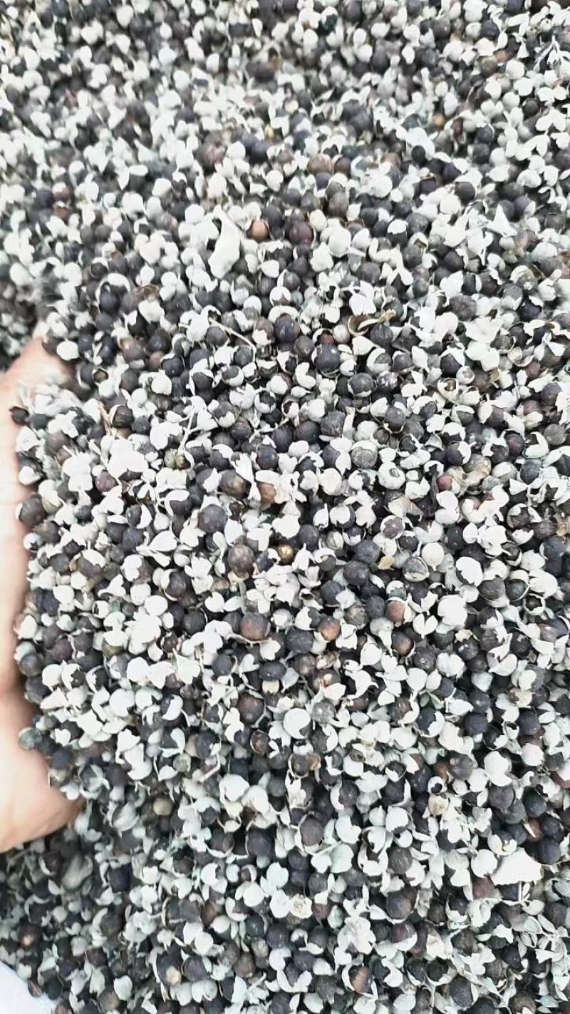 蔓荆子批发，江西基地一手货源，货源充足稳定，欢迎来电选购
