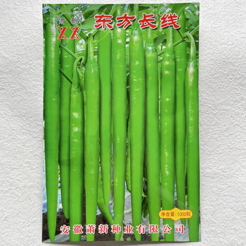 萧新东方长线椒种子早熟抗病性强线椒种子辣味浓郁耐高温高湿