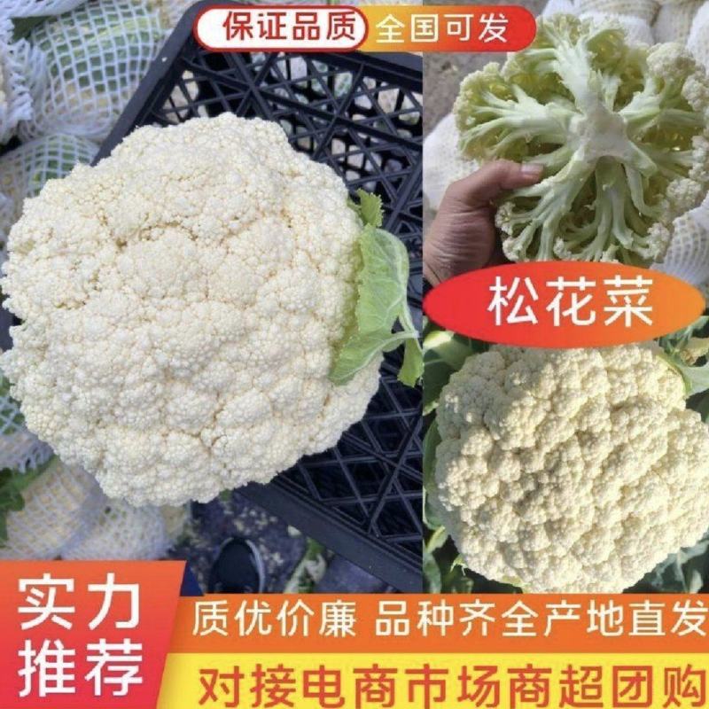 陕西松花菜有机花白度好个头匀一手货源