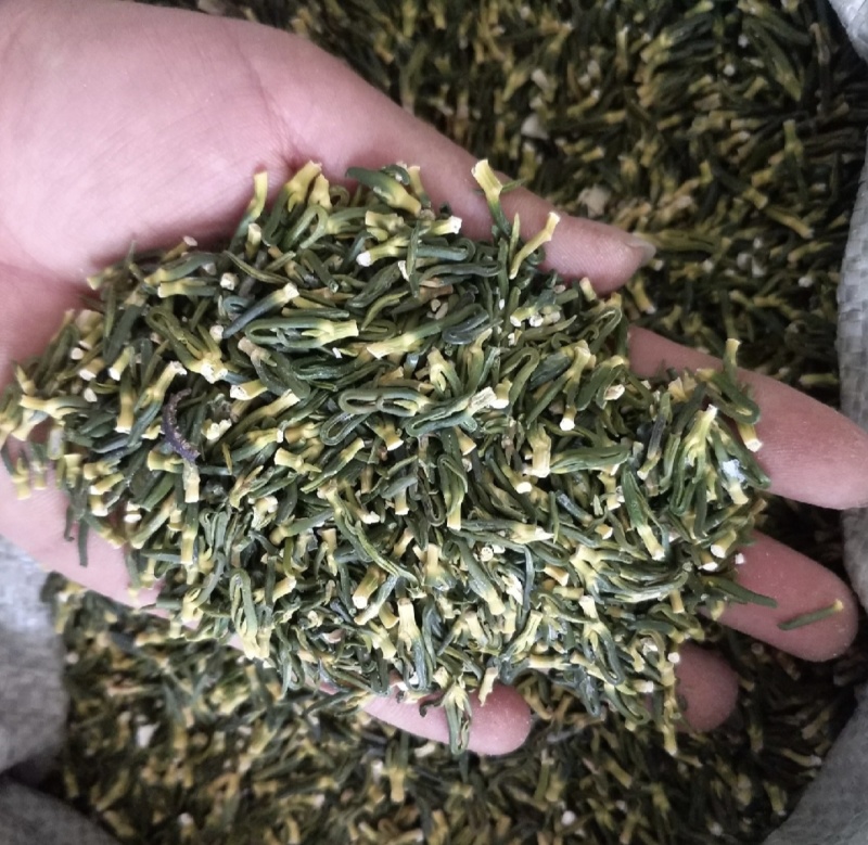 莲子芯，新货无硫产地直发规格齐全实拍现货质量保证24小时