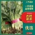 菠菜0.5元～1元大量供货，品质有保证，合作共赢