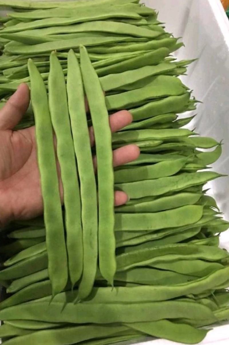 四季豆种子王者荣耀超三扁加长型扁豆早熟翠绿产量高