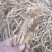 防风防风个防风片防风干货
