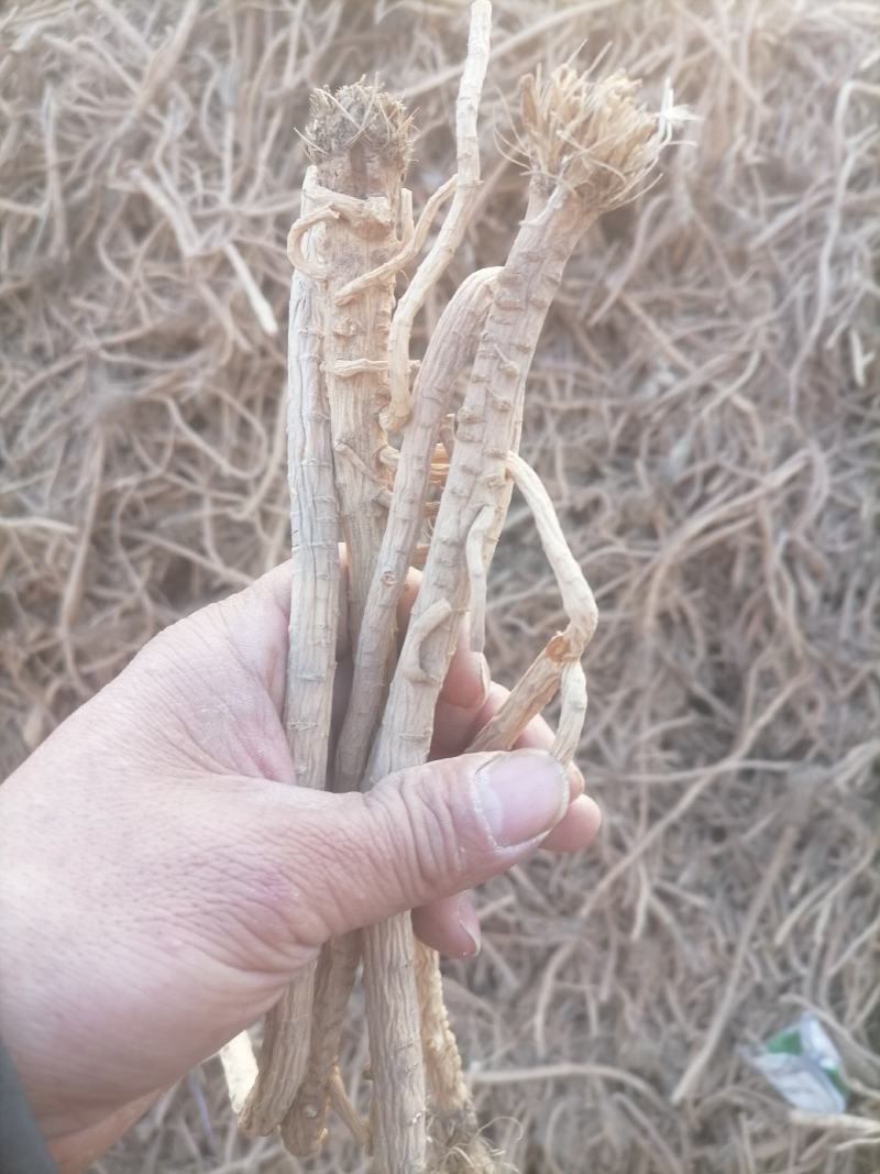 防风防风个防风片防风干货