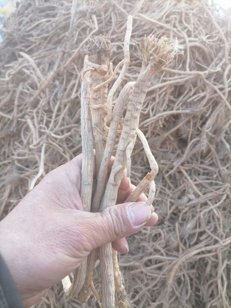 防风防风个防风片防风干货