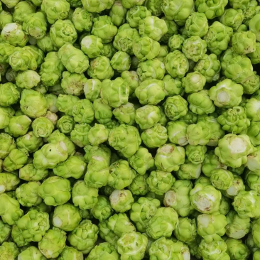鲜榨菜大量上市中支持各种包装电商货市场货工厂货
