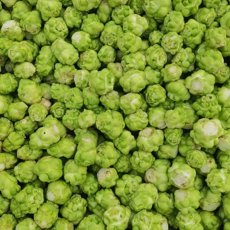 鲜榨菜大量上市中支持各种包装电商货市场货工厂货