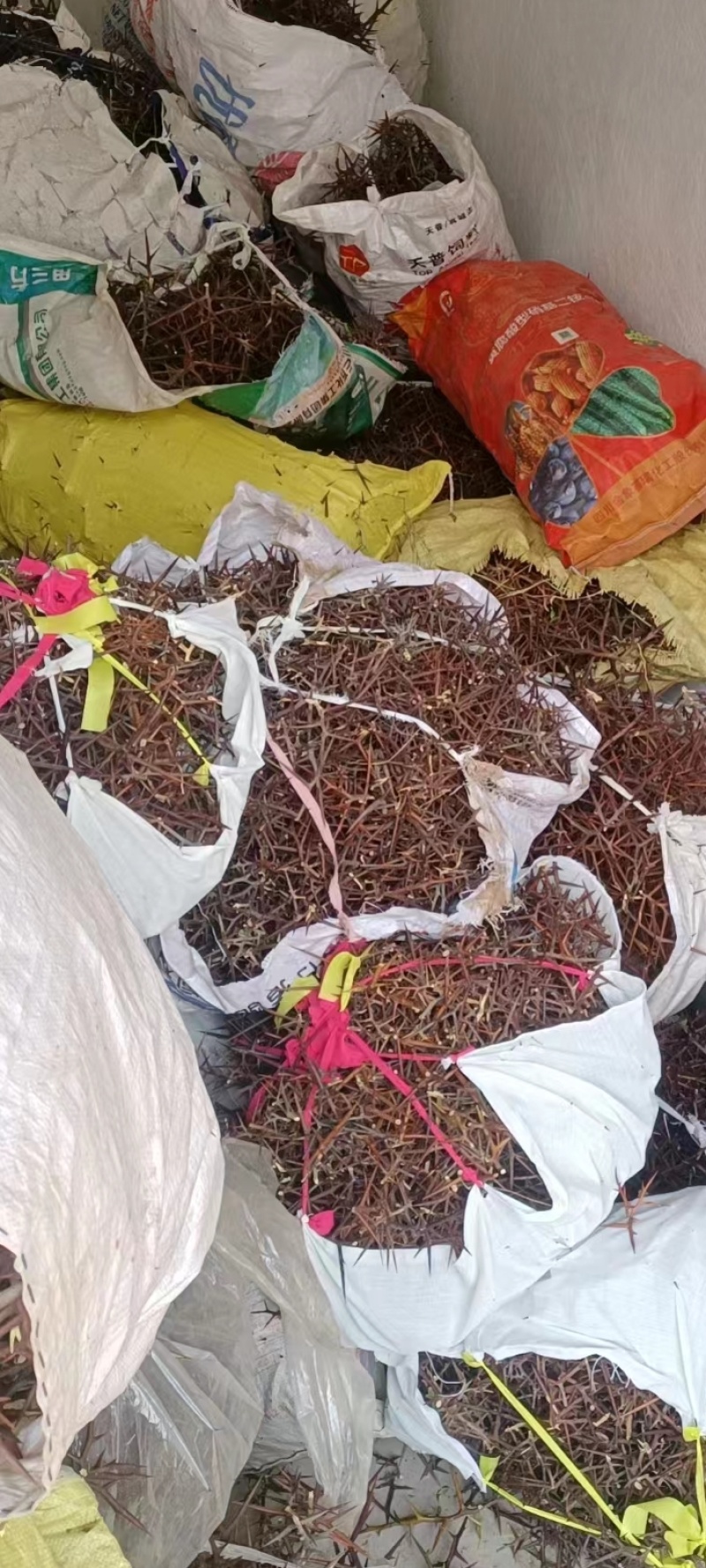 皂角刺，天丁，无枝，一手货源产地直发，保证质量