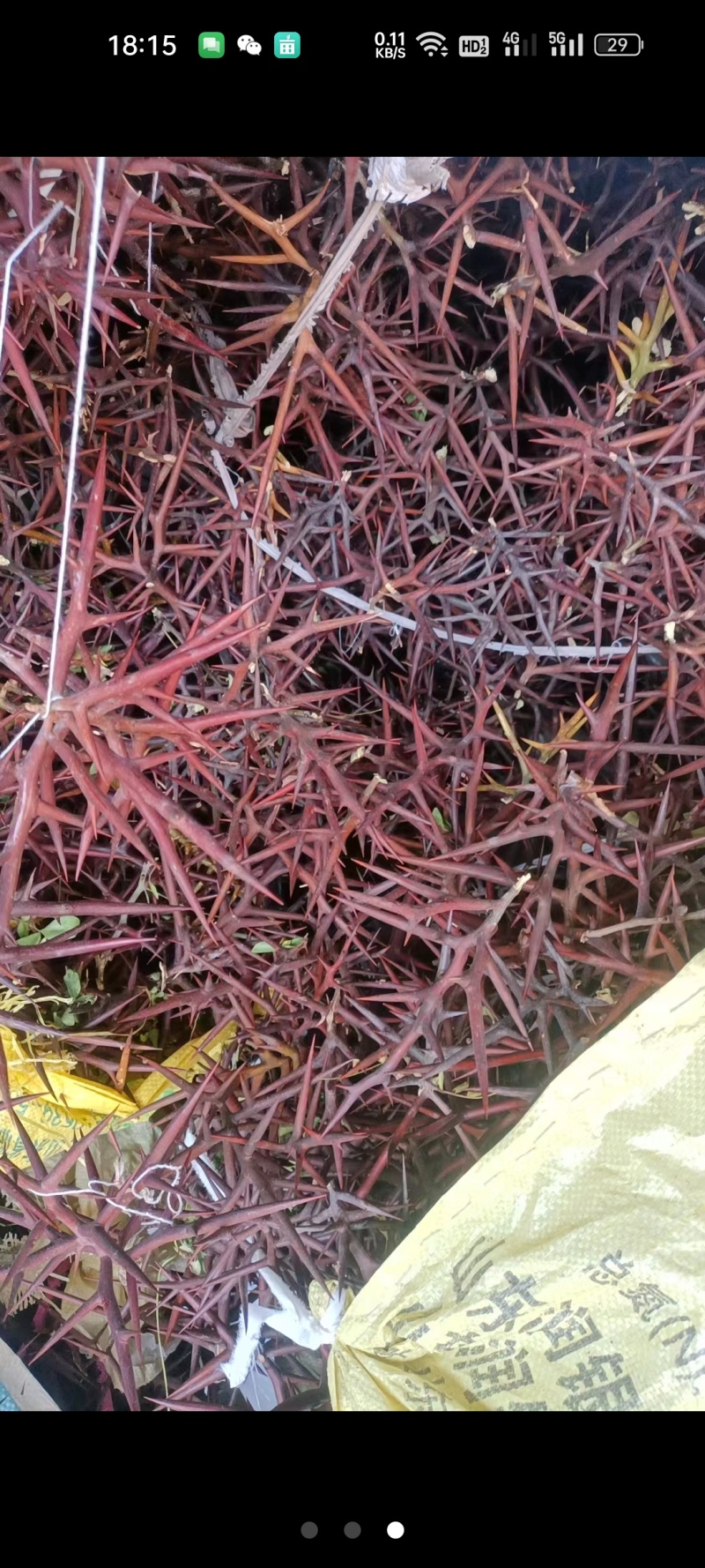 皂角刺，天丁，无枝，一手货源产地直发，保证质量