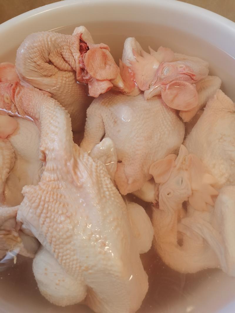 广西精品散养三黄鸡白条鸡，原料食材冷冻新鲜宰杀烧鸡烤鸡