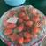 平度甜宝草莓基地，产地直发，草莓口感香甜多汁