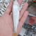 鸭绿江桃花马口