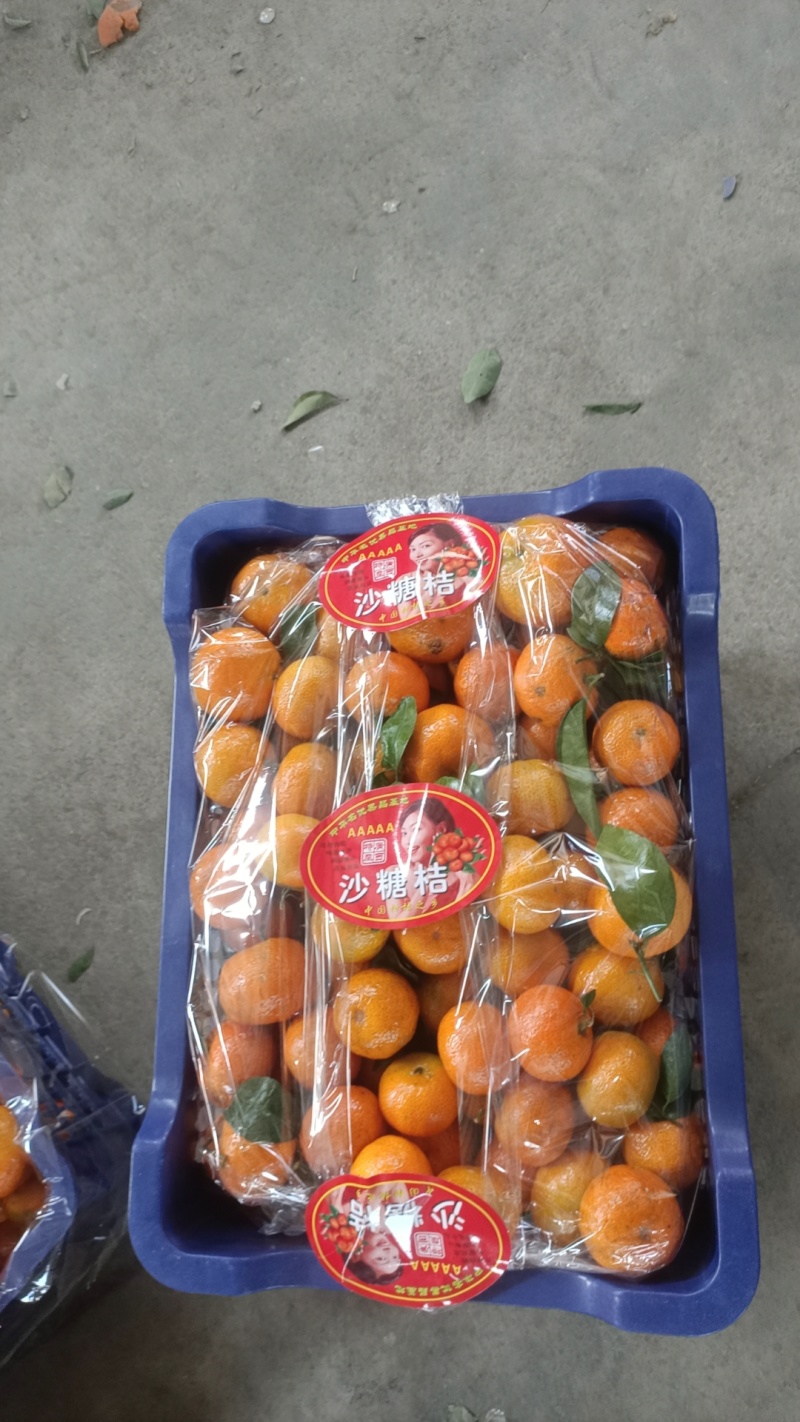 广西桂林荔浦精品砂糖橘，口感甜，皮薄肉嫩，颜色红。