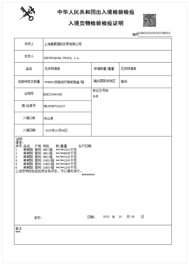 智利P牌精品牛油果