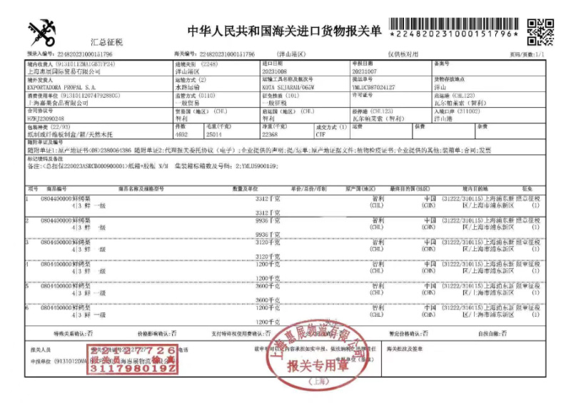 智利P牌精品牛油果