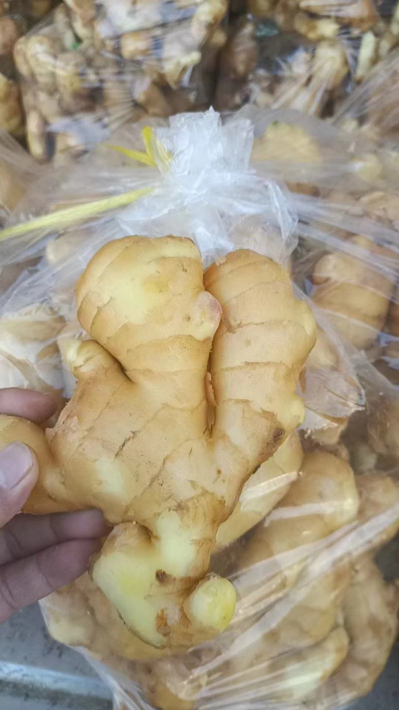 生姜可水洗，产地直发，品质好价格优欢迎各地老板咨询