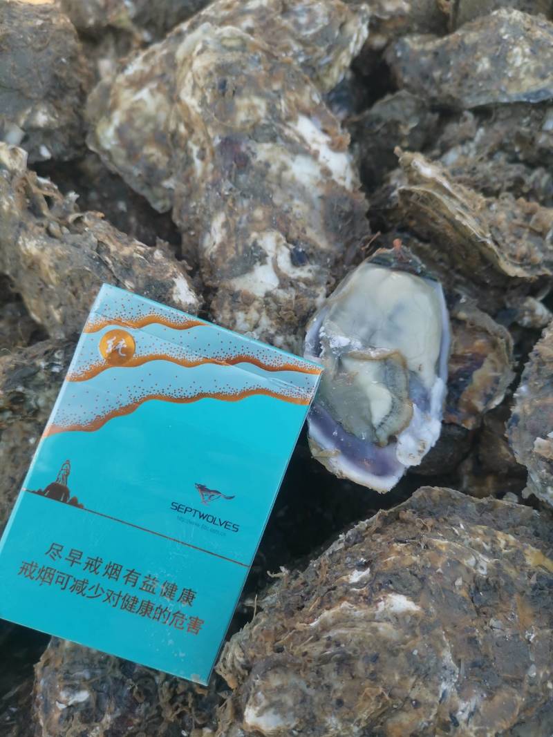 大家好，我是山东省日照码头直供，生蚝出货地。一手货源..