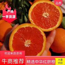 中华红血橙，塔罗科血橙产地直销，水分充足可支持各大商超