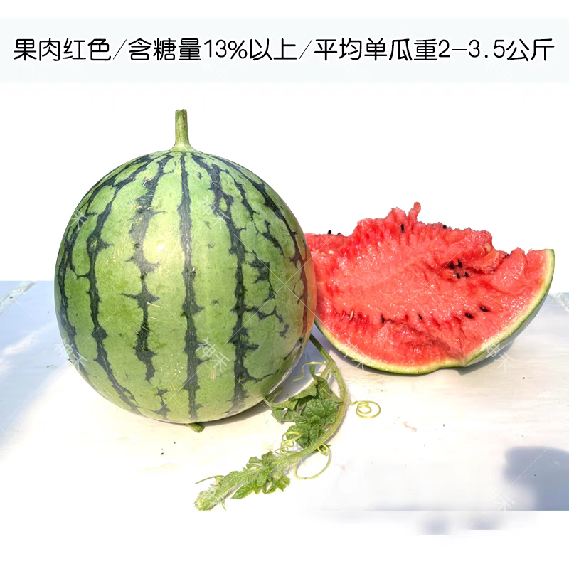珍玉花皮红瓤礼品西瓜种子早熟皮薄果肉红色迷你小西瓜种籽