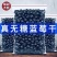 【无添加蔗糖】蓝莓干长白山蓝莓干三角包装孕妇零食工厂包邮