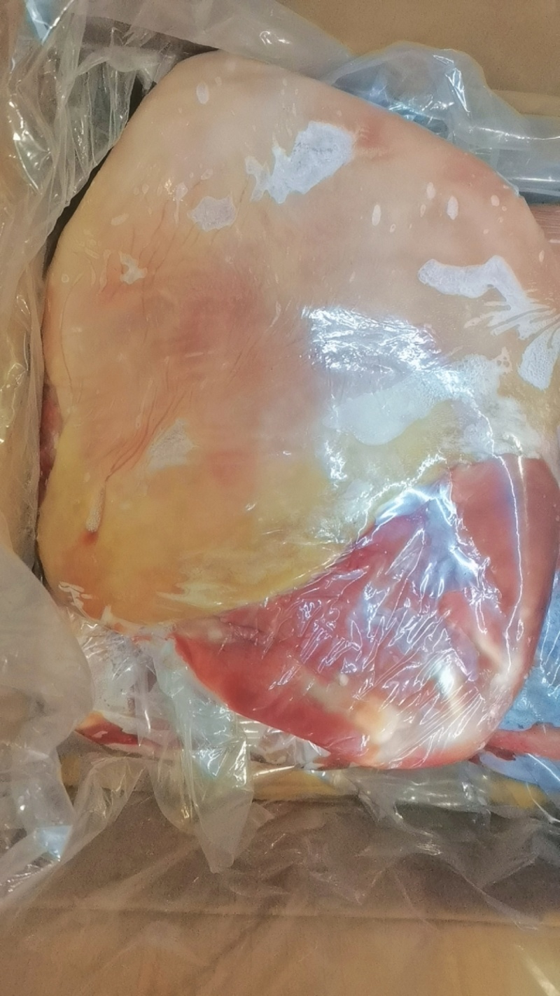 带皮羊排承接大量批发羊庄酒店羊排羊肚羊腩等各类羊副产品