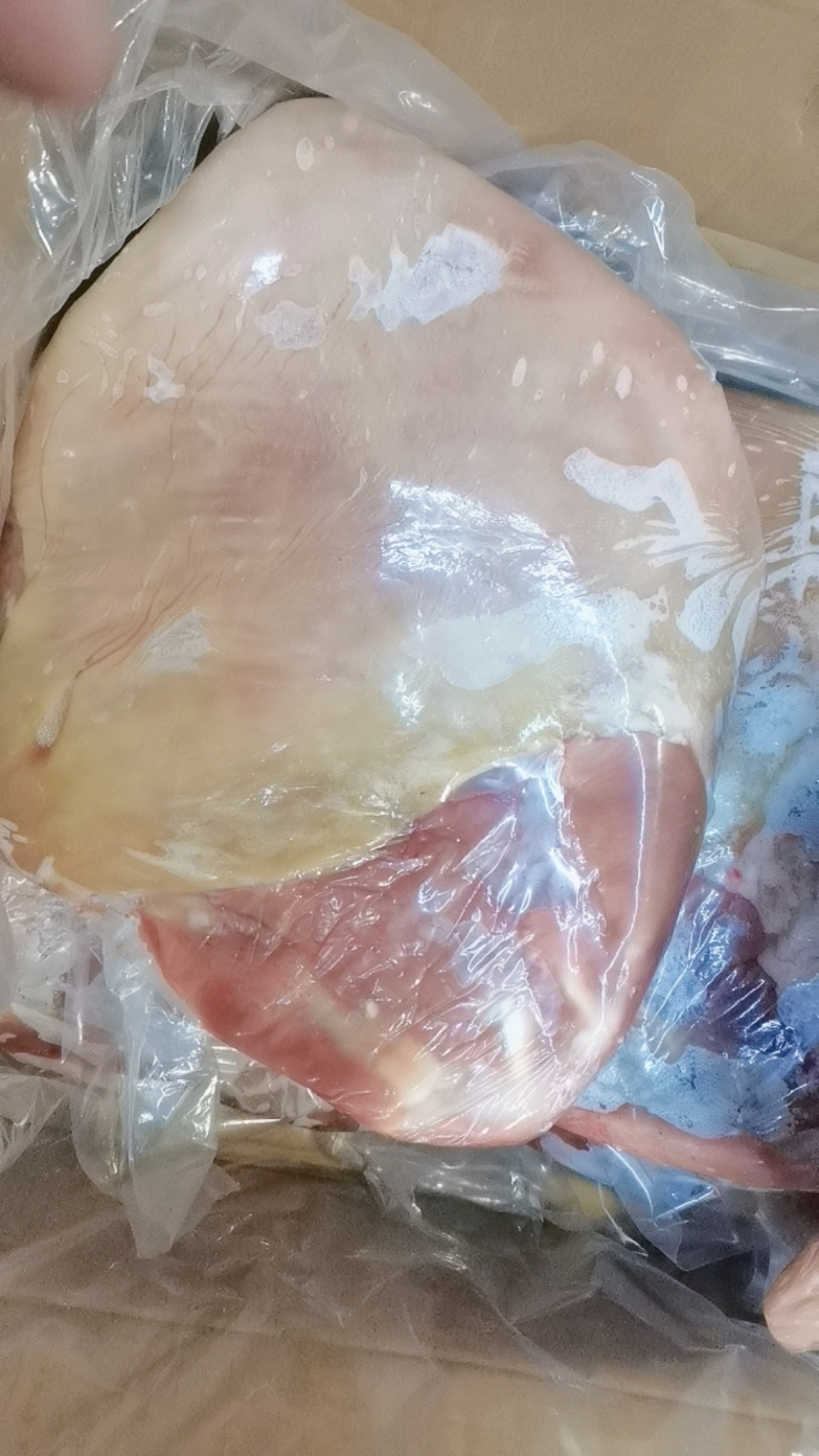 带皮羊排承接大量批发羊庄酒店羊排羊肚羊腩等各类羊副产品