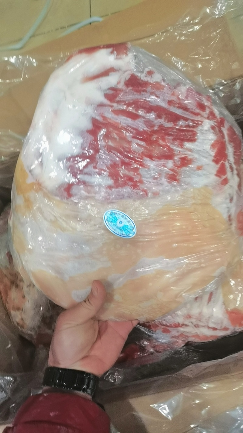 带皮羊排承接大量批发羊庄酒店羊排羊肚羊腩等各类羊副产品