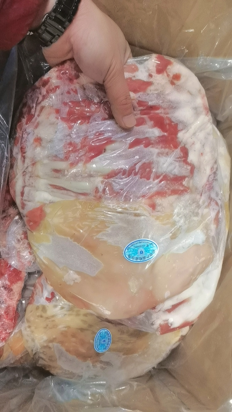 带皮羊排承接大量批发羊庄酒店羊排羊肚羊腩等各类羊副产品