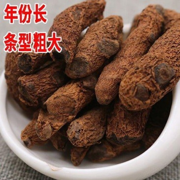 云南血三七疼痛跌打损伤泡酒料药酒中药材可磨粉配血竭血三七