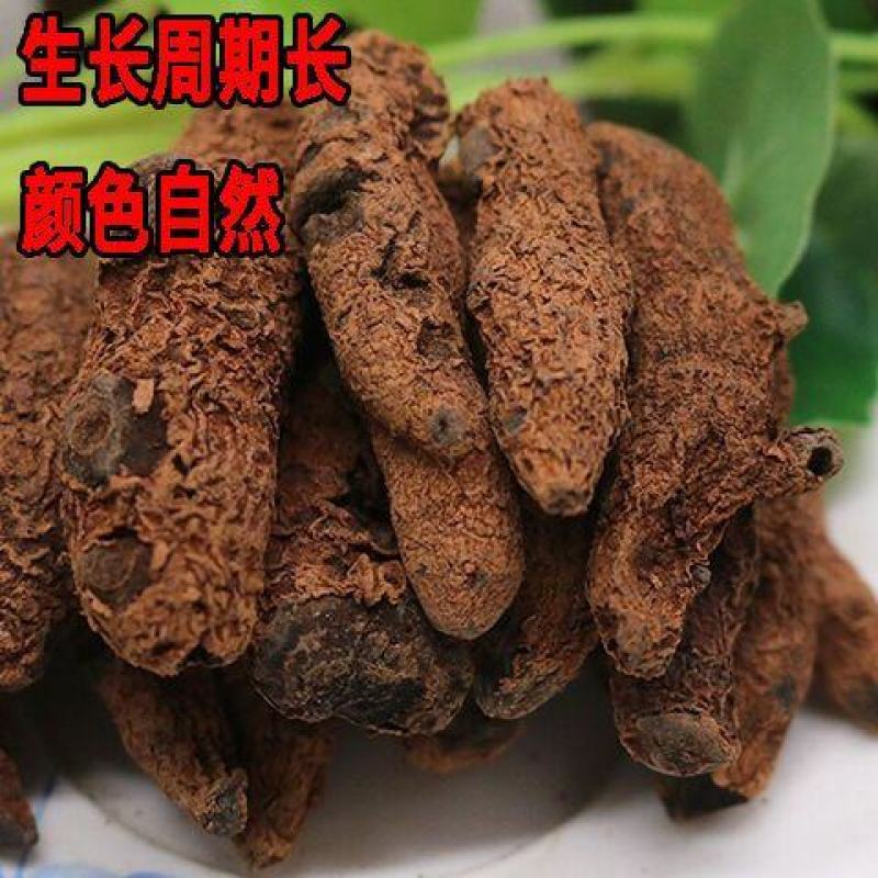 云南血三七疼痛跌打损伤泡酒料药酒中药材可磨粉配血竭血三七