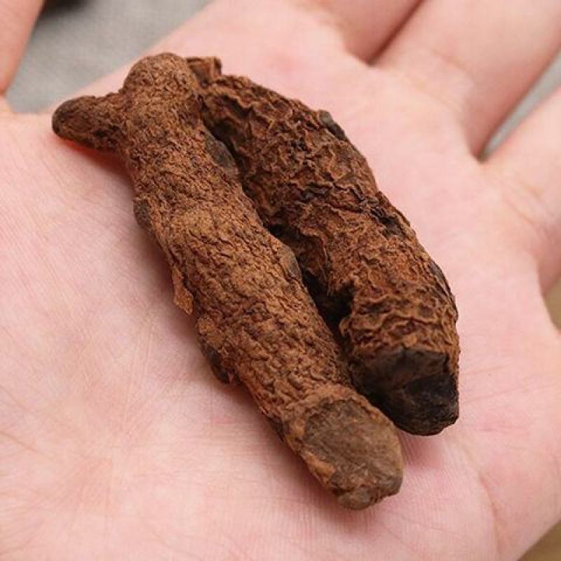 云南血三七疼痛跌打损伤泡酒料药酒中药材可磨粉配血竭血三七