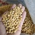 红玖精选东北豆商品黄豆大豆高蛋白质39重量90斤