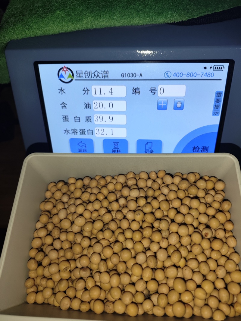 红玖精选东北豆商品黄豆大豆高蛋白质39重量90斤