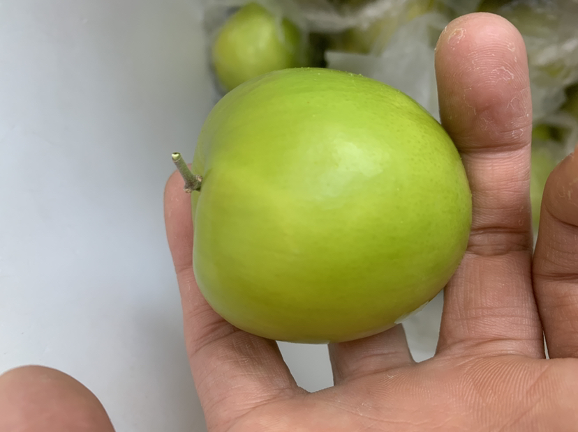 青枣与红枣外观对比图