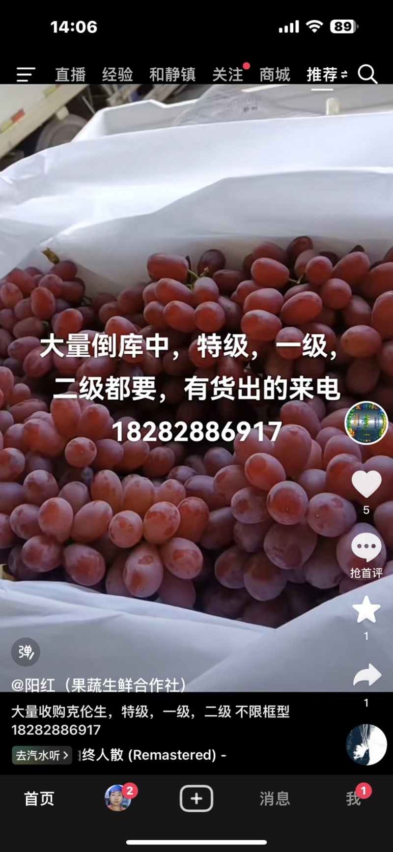 新疆无籽提葡萄大量供货