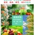 云康12028表芸苄氨基嘌呤细胞分裂花芽分化催花素