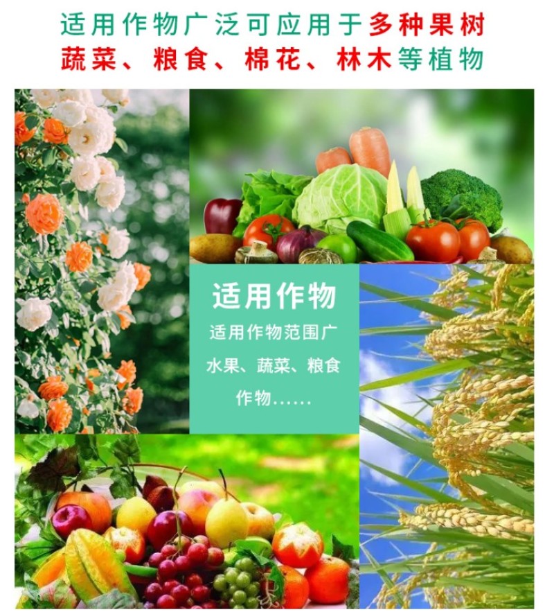 云康12028表芸苄氨基嘌呤细胞分裂花芽分化催花素