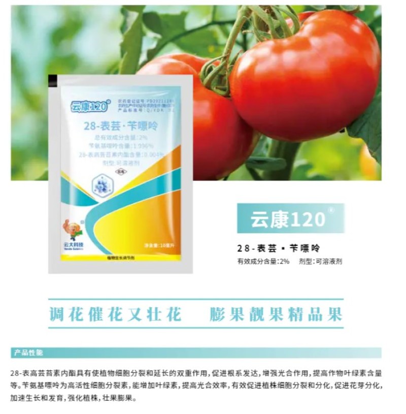 云康12028表芸苄氨基嘌呤细胞分裂花芽分化催花素