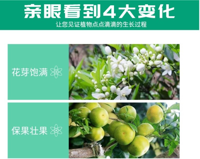 云康12028表芸苄氨基嘌呤细胞分裂花芽分化催花素
