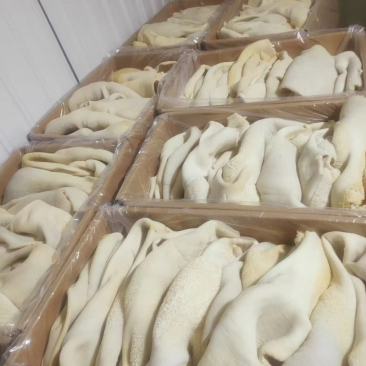 鲜牛肚河北厂家直发保质保量供货批发零售