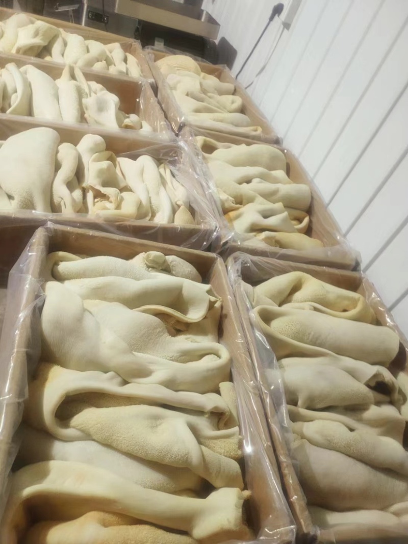 鲜牛肚河北厂家直发保质保量供货批发零售