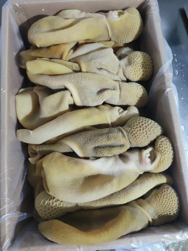 鲜牛肚河北厂家直发保质保量供货批发零售