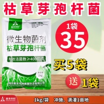 枯草芽孢杆菌农用根腐病立枯病猝倒病枯萎病白粉病改良土壤