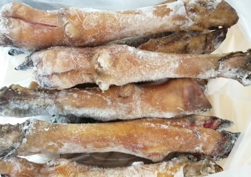 青海火烧羊蹄藏系羊一个3.3两左右10个/件包邮