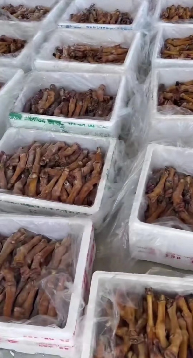 青海火烧羊蹄藏系羊一个3.3两左右10个/件包邮