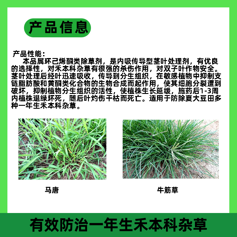 云帆耕进35%烯草酮大豆田一年生禾本科杂草烯草胴农药除草