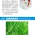 云帆耕进35%烯草酮大豆田一年生禾本科杂草烯草胴农药除草